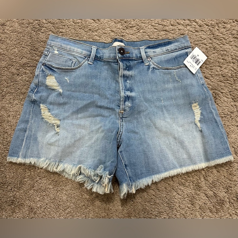 Edyson Light Blue Distressed Jean Shorts